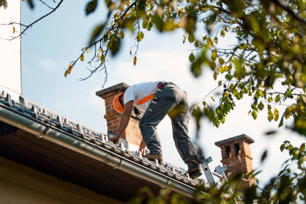 Quick and Trustworthy Emergency Roof Repair Services in Schaumburg, IL